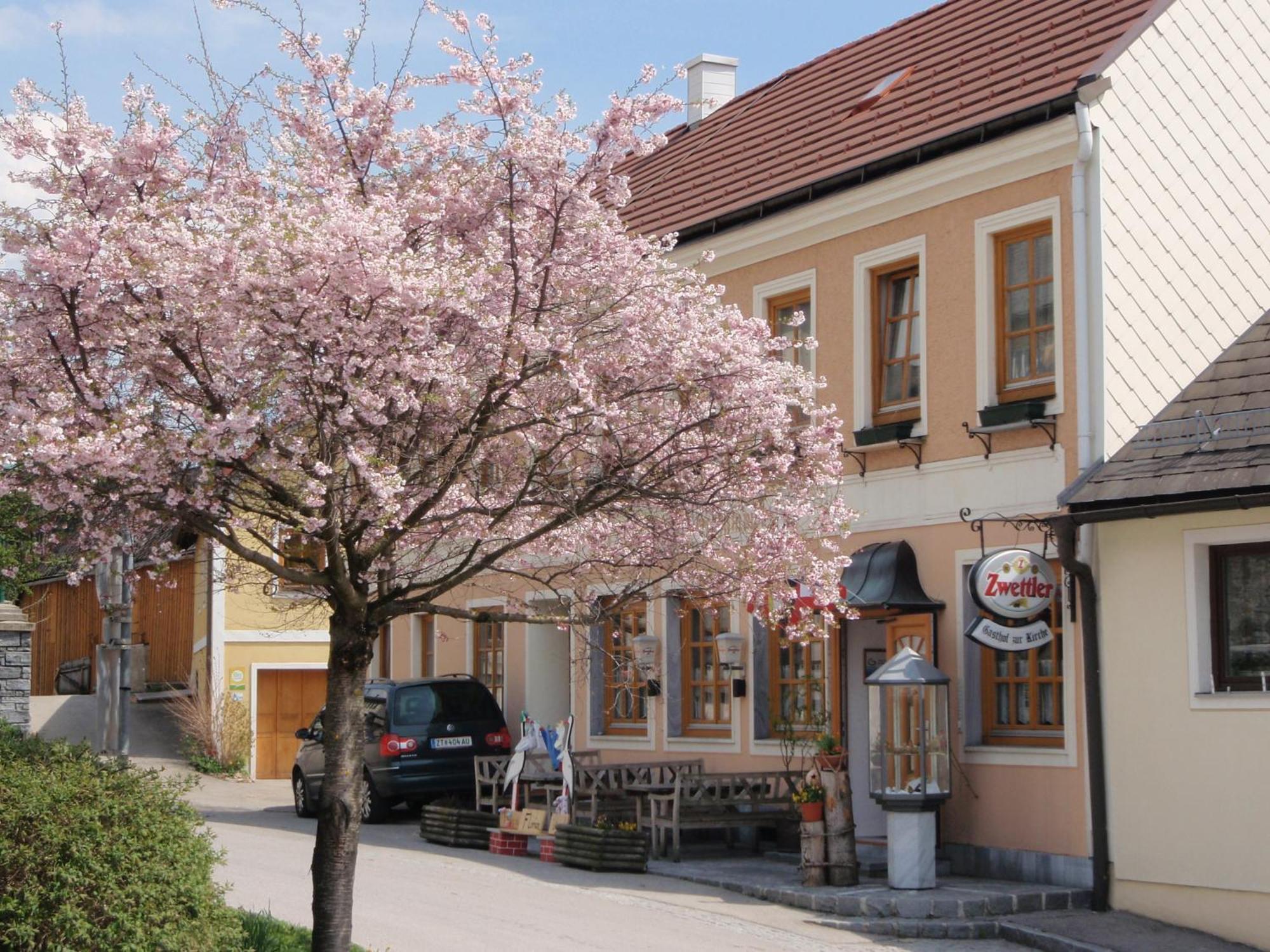 Gasthof Zur Kirche Kottes Экстерьер фото